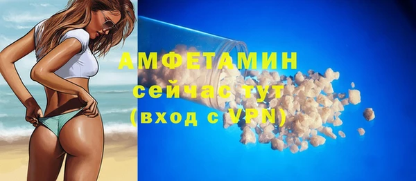 тгк Пересвет