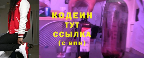 тгк Пересвет