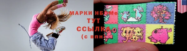 тгк Пересвет