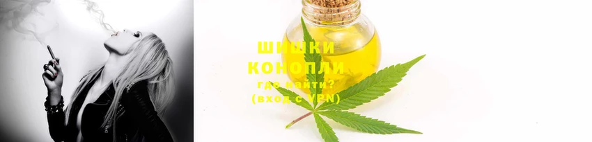 тгк Пересвет