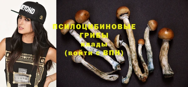 экстази Пестово