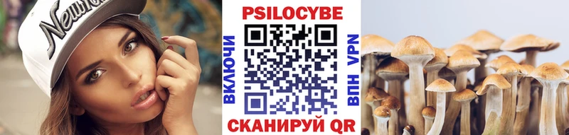 даркнет сайт Чегем Галлюциногенные грибы Cubensis